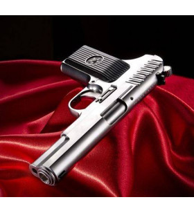 WE Tokarev TT-33 Silver Gaz 14BBs 1J