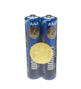 ASP Pile Lithium AAA X2