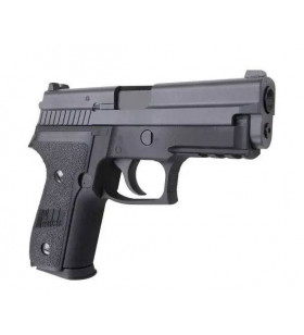 WE P229 Gaz 20BBs 1J