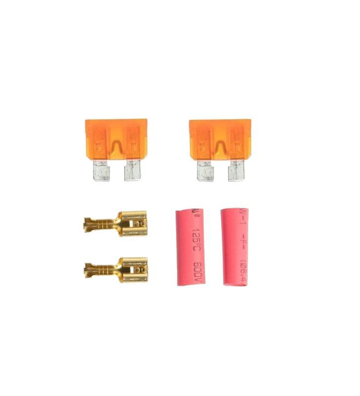 Gate Lot de 2 fusibes 40A + Cosses