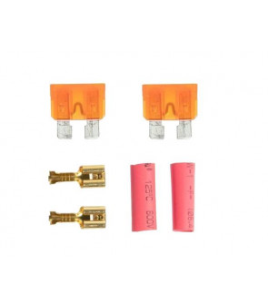 Gate Lot de 2 fusibes 40A + Cosses