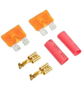 Gate Lot de 2 fusibes 40A + Cosses