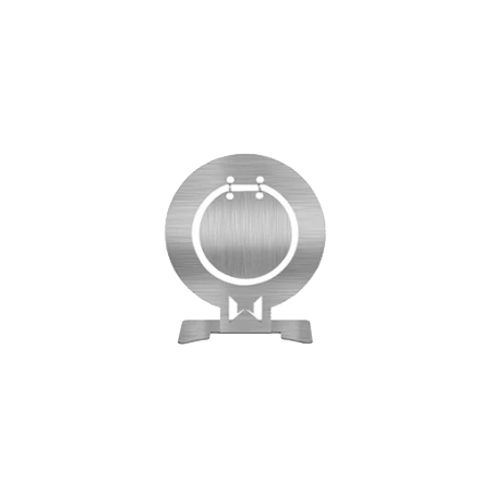 WoSport Cible / x1 Steel Target Silver 10x9cm Rond