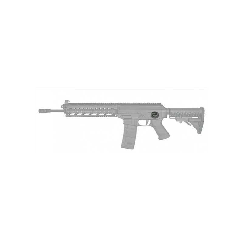 Cyma Sélecteurs de Tir Sig 556 Holo AEG  (Reconditionné)