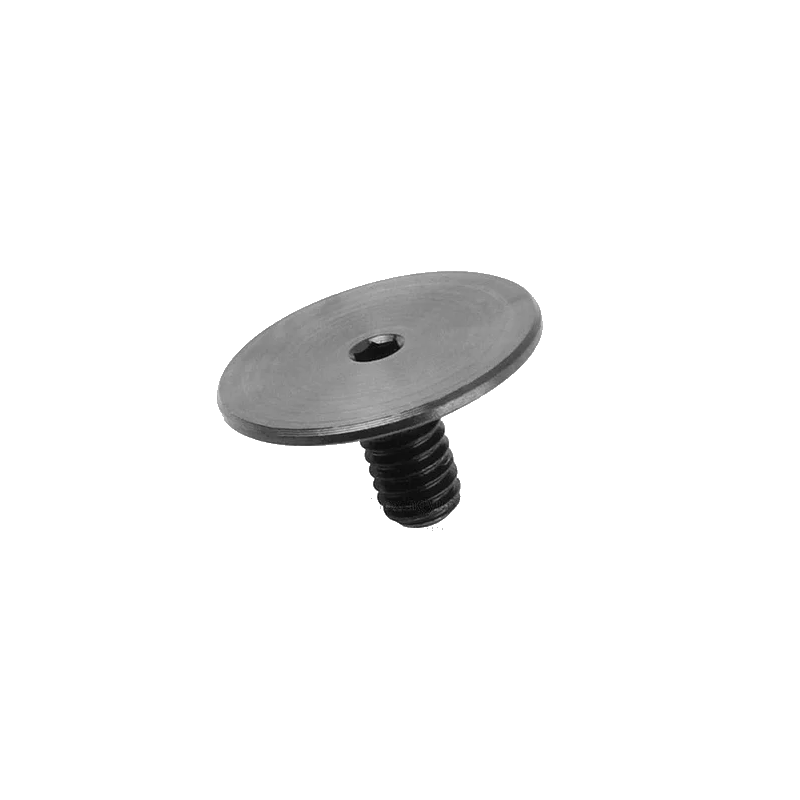 ACM Screw M5 Spring Guide Bk AEG