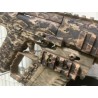 GS2.0 Custom AAP01 RIS Rail Base Assassin Camo FDE Gaz