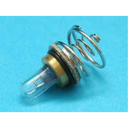 G&P Lampe R500 Buld Scorpion Series GP554D