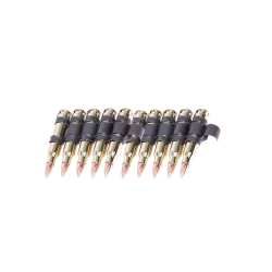 G&G Bande de 10 Cartouches 5.56 ABS