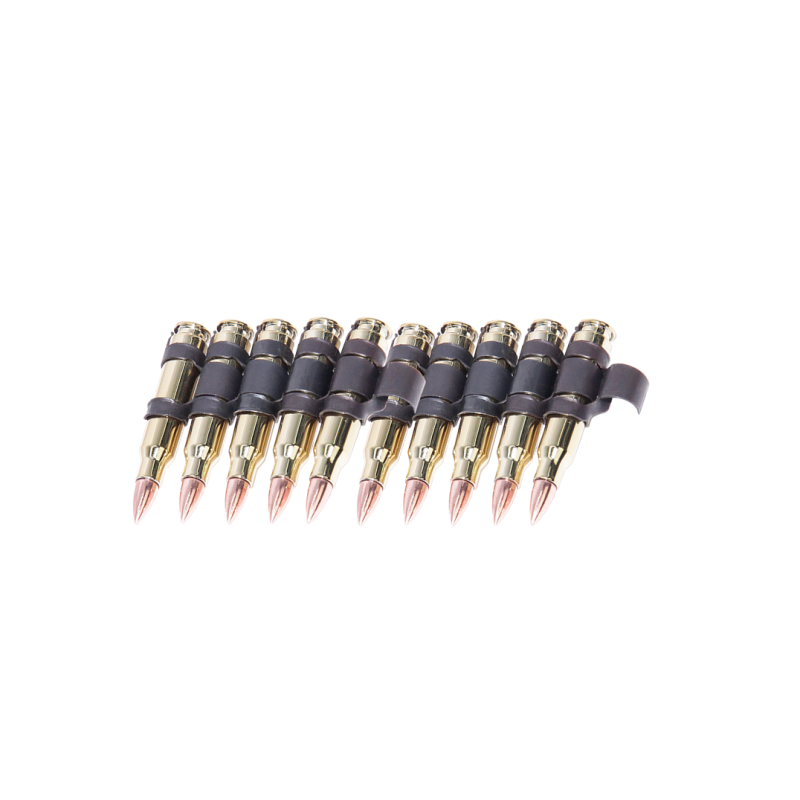 G&G Bande de 10 Cartouches 5.56 ABS
