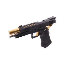 AW Custom HX2701 Black/Gold 28BBs 0.9J