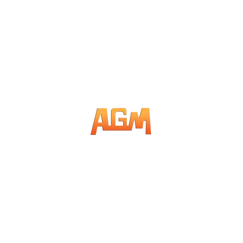 AGM Tete Cylindre V7 Origine ABS M14 AEG (Reconditionné)