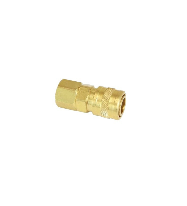 BalystiK Coupleur 1/8 NPT Femelle - (US Version)