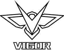 Vigor Airsoft